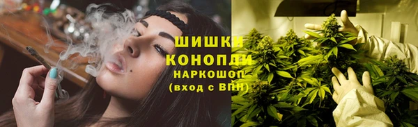 дмт Магадан