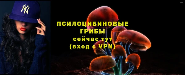 дмт Магадан